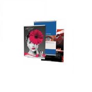 Плакатные профили